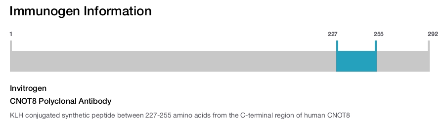 CNOT8 Polyclonal Antibody