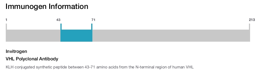VHL Polyclonal Antibody
