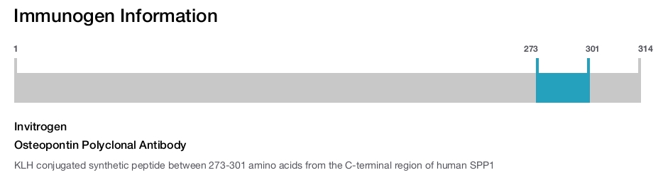 Osteopontin Polyclonal Antibody