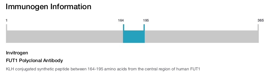 FUT1 Polyclonal Antibody