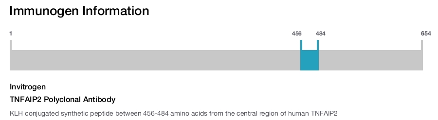 TNFAIP2 Polyclonal Antibody