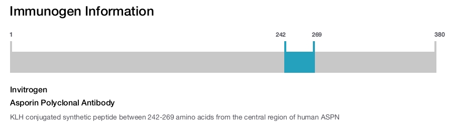 Asporin Polyclonal Antibody