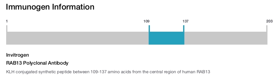 RAB13 Polyclonal Antibody