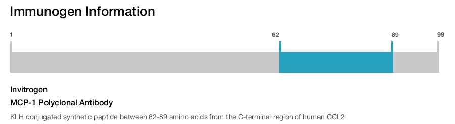 MCP-1 Polyclonal Antibody