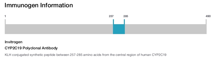 CYP2C19 Polyclonal Antibody