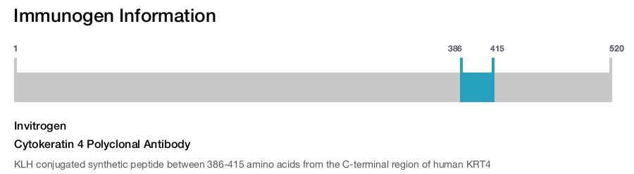 Cytokeratin 4 Polyclonal Antibody