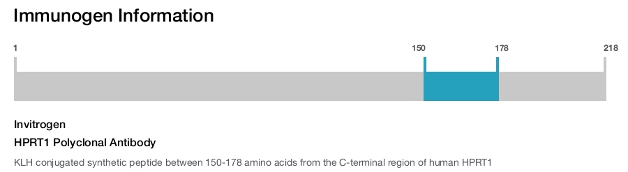 HPRT1 Polyclonal Antibody