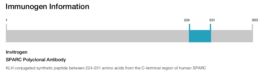 SPARC Polyclonal Antibody