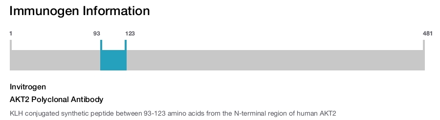 AKT2 Polyclonal Antibody