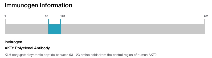 AKT2 Polyclonal Antibody