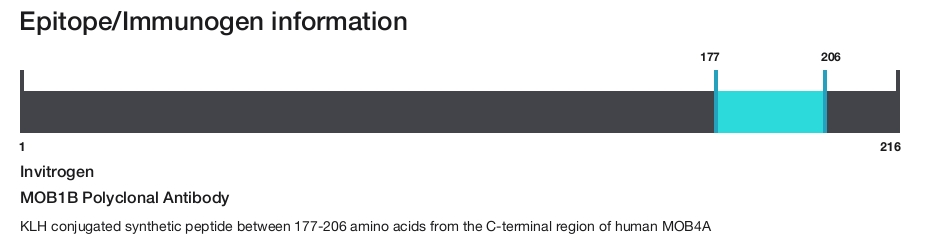 MOB1B Polyclonal Antibody