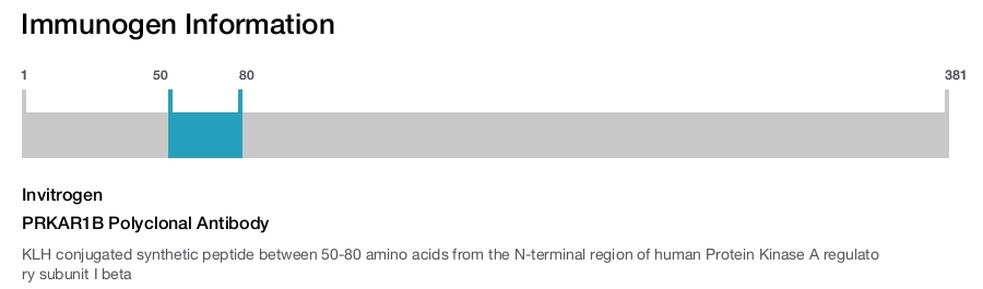 PRKAR1B Polyclonal Antibody