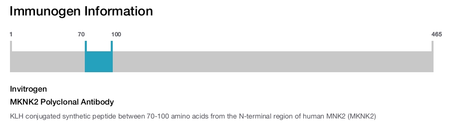MKNK2 Polyclonal Antibody