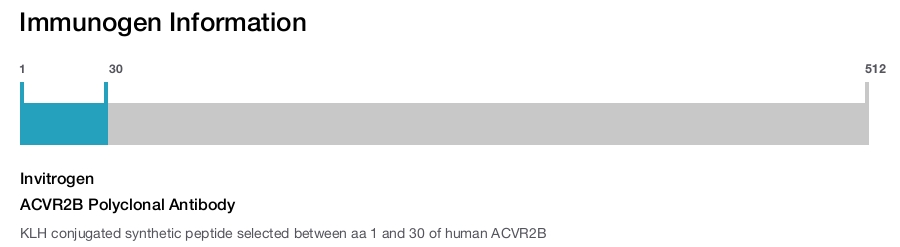 ACVR2B Polyclonal Antibody