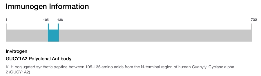 GUCY1A2 Polyclonal Antibody