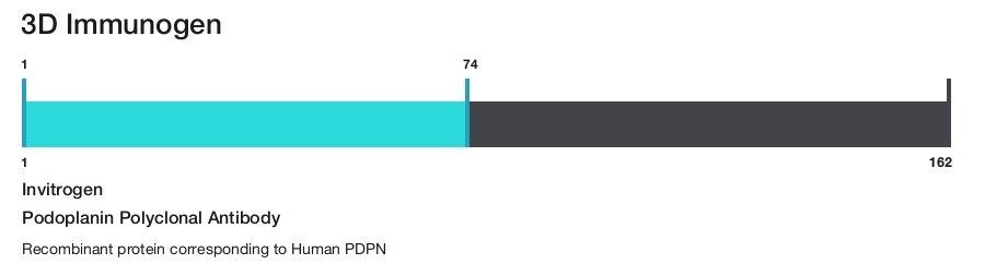 Podoplanin Polyclonal Antibody