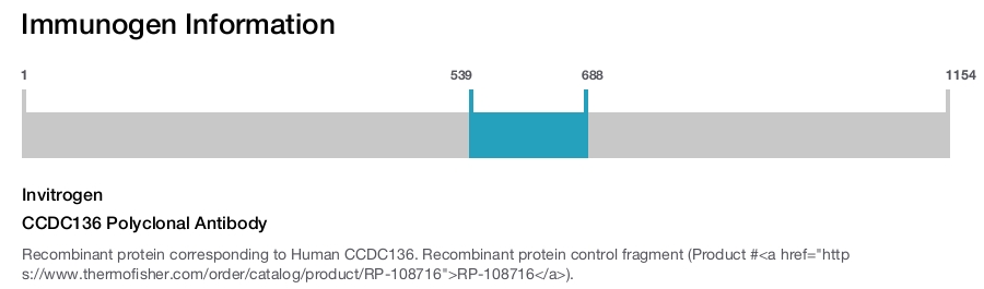 CCDC136 Polyclonal Antibody