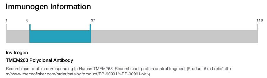 TMEM263 Polyclonal Antibody