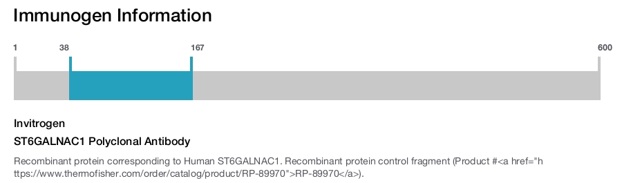 ST6GALNAC1 Polyclonal Antibody