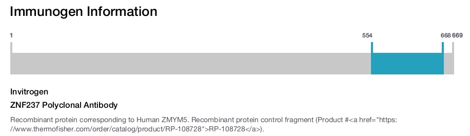 ZNF237 Polyclonal Antibody