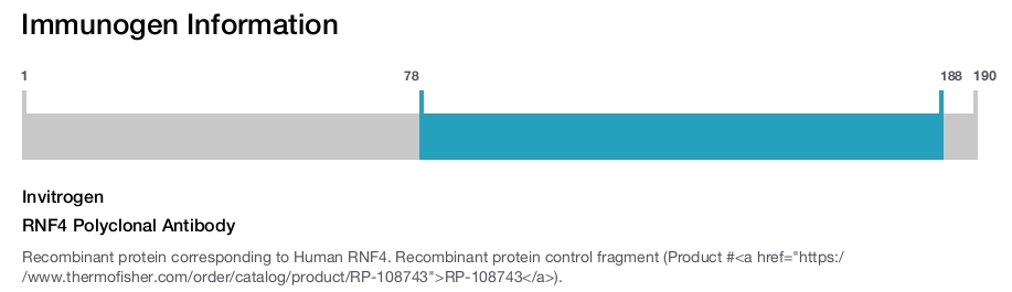 RNF4 Polyclonal Antibody