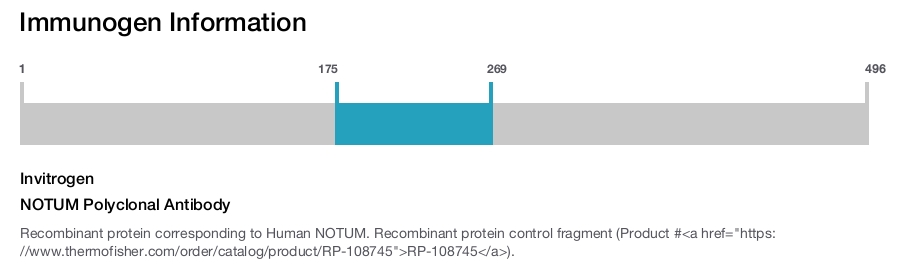 NOTUM Polyclonal Antibody