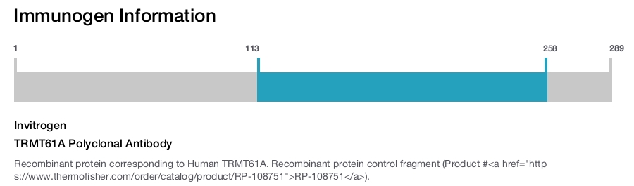 TRMT61A Polyclonal Antibody