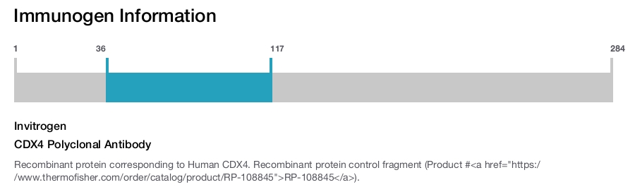 CDX4 Polyclonal Antibody