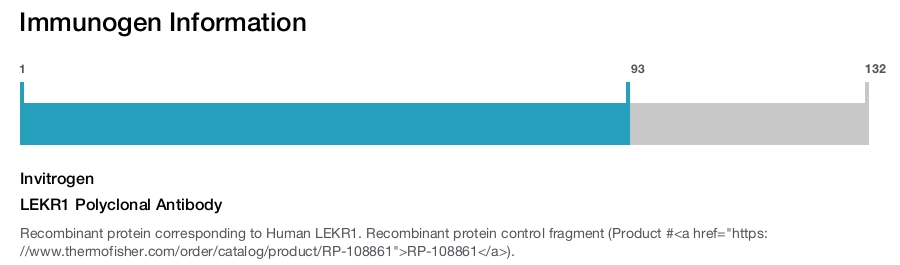 LEKR1 Polyclonal Antibody