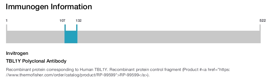 TBL1Y Polyclonal Antibody