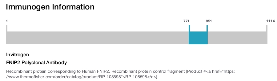 FNIP2 Polyclonal Antibody