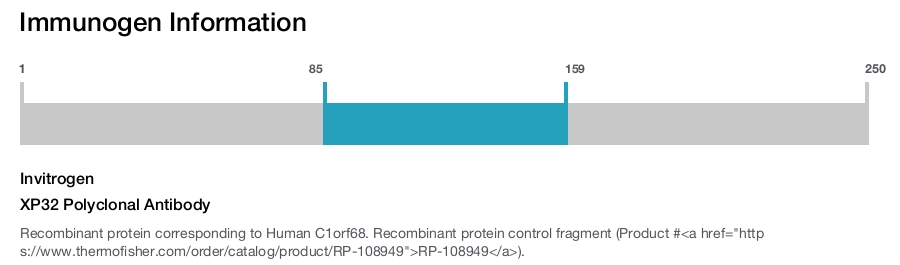 XP32 Polyclonal Antibody