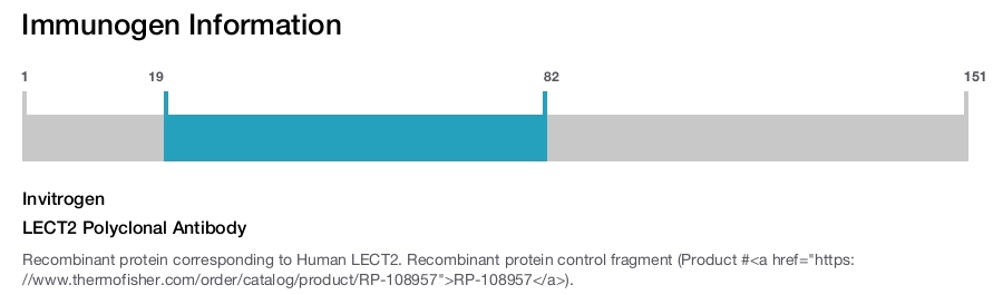LECT2 Polyclonal Antibody