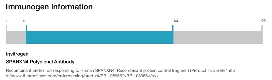 SPANXN4 Polyclonal Antibody