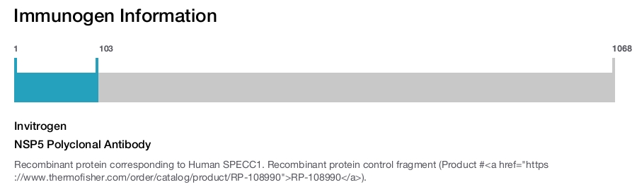 NSP5 Polyclonal Antibody