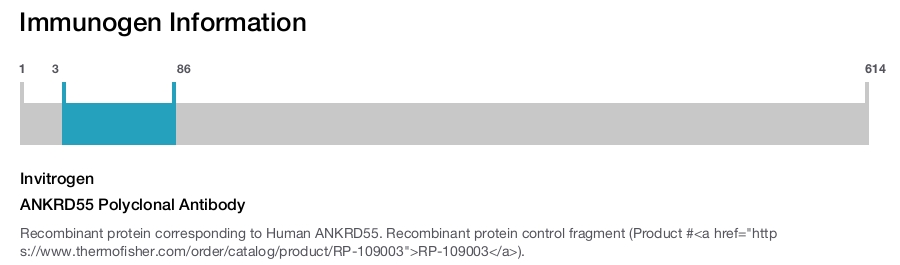 ANKRD55 Polyclonal Antibody