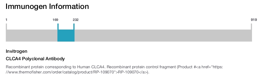 CLCA4 Polyclonal Antibody