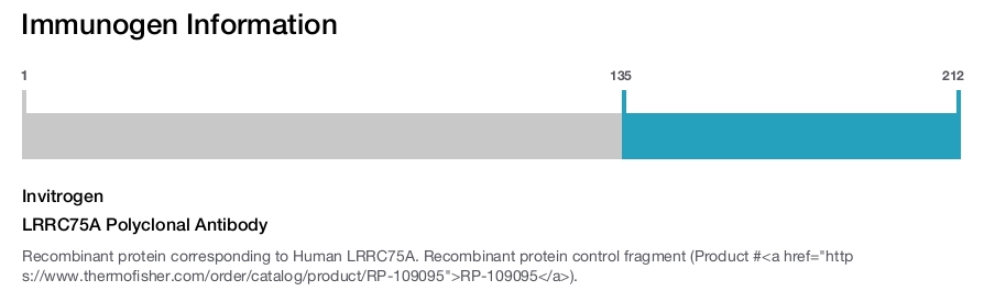LRRC75A Polyclonal Antibody