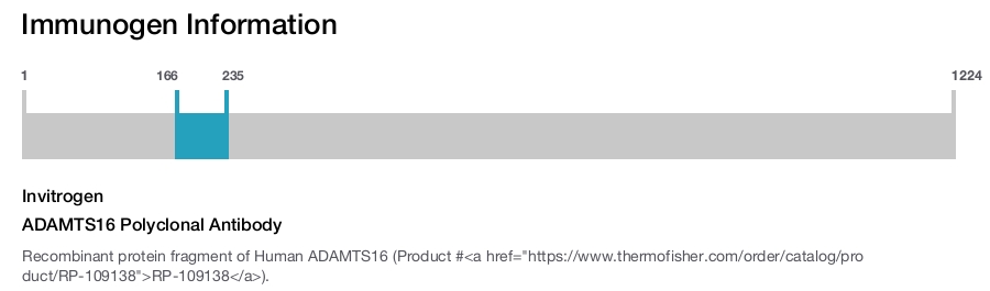 ADAMTS16 Polyclonal Antibody
