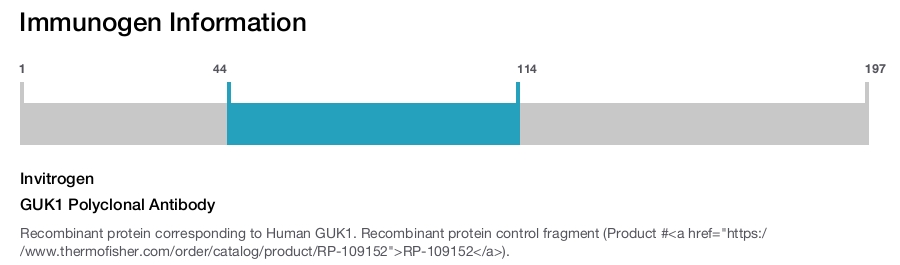 GUK1 Polyclonal Antibody