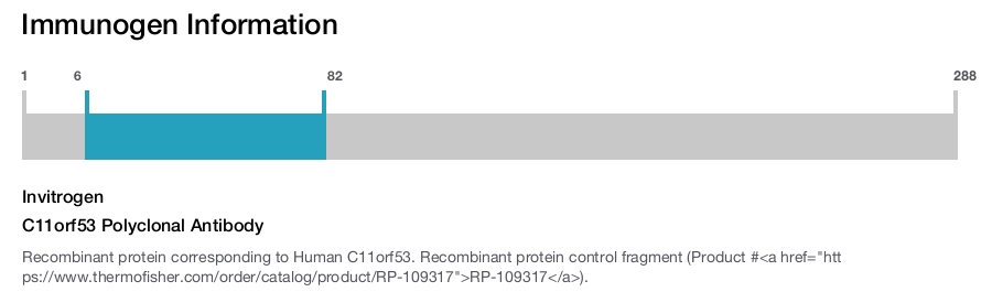 C11orf53 Polyclonal Antibody