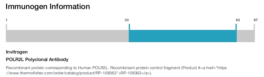 POLR2L Polyclonal Antibody