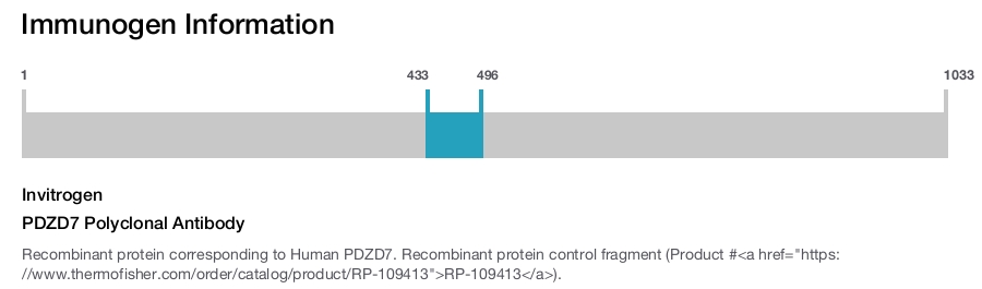 PDZD7 Polyclonal Antibody