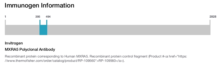 MXRA5 Polyclonal Antibody