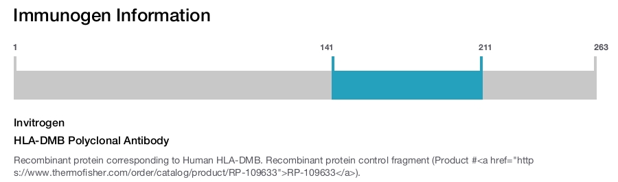 HLA-DMB Polyclonal Antibody
