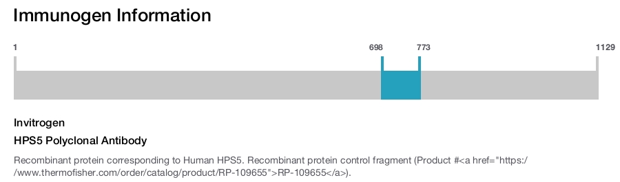 HPS5 Polyclonal Antibody
