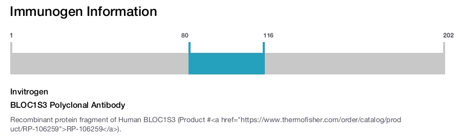 BLOC1S3 Polyclonal Antibody