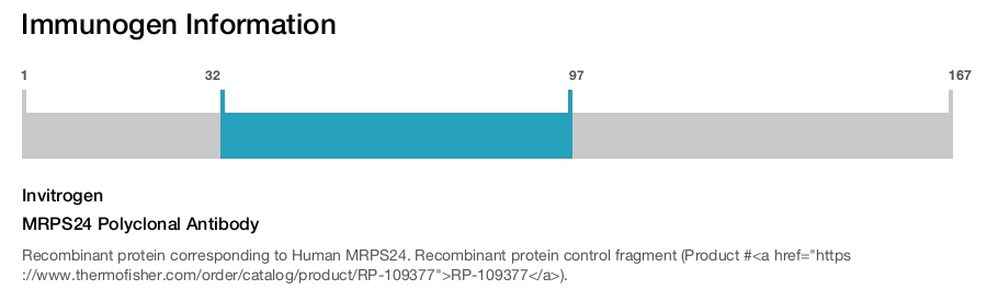 MRPS24 Polyclonal Antibody