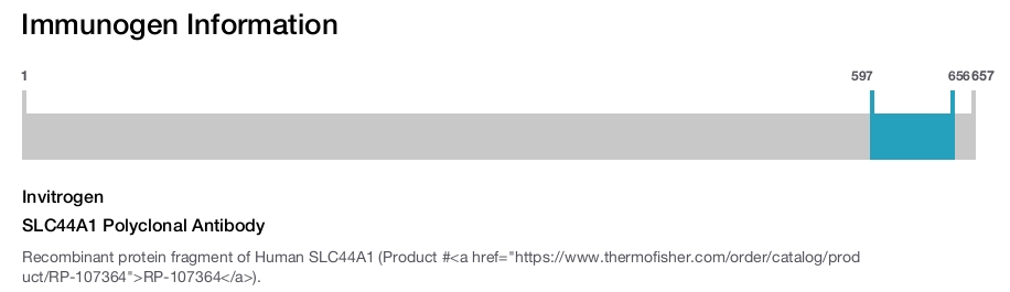 SLC44A1 Polyclonal Antibody