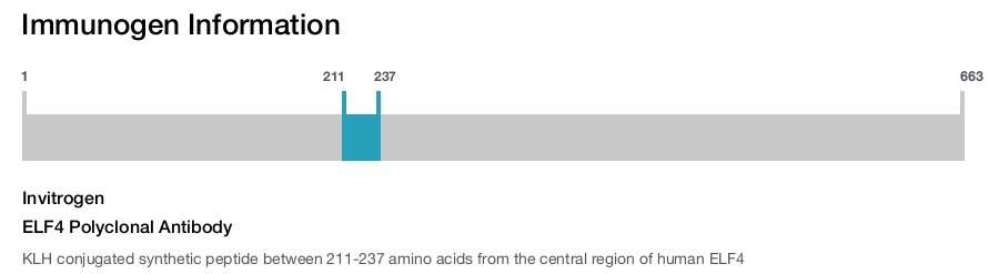 ELF4 Polyclonal Antibody